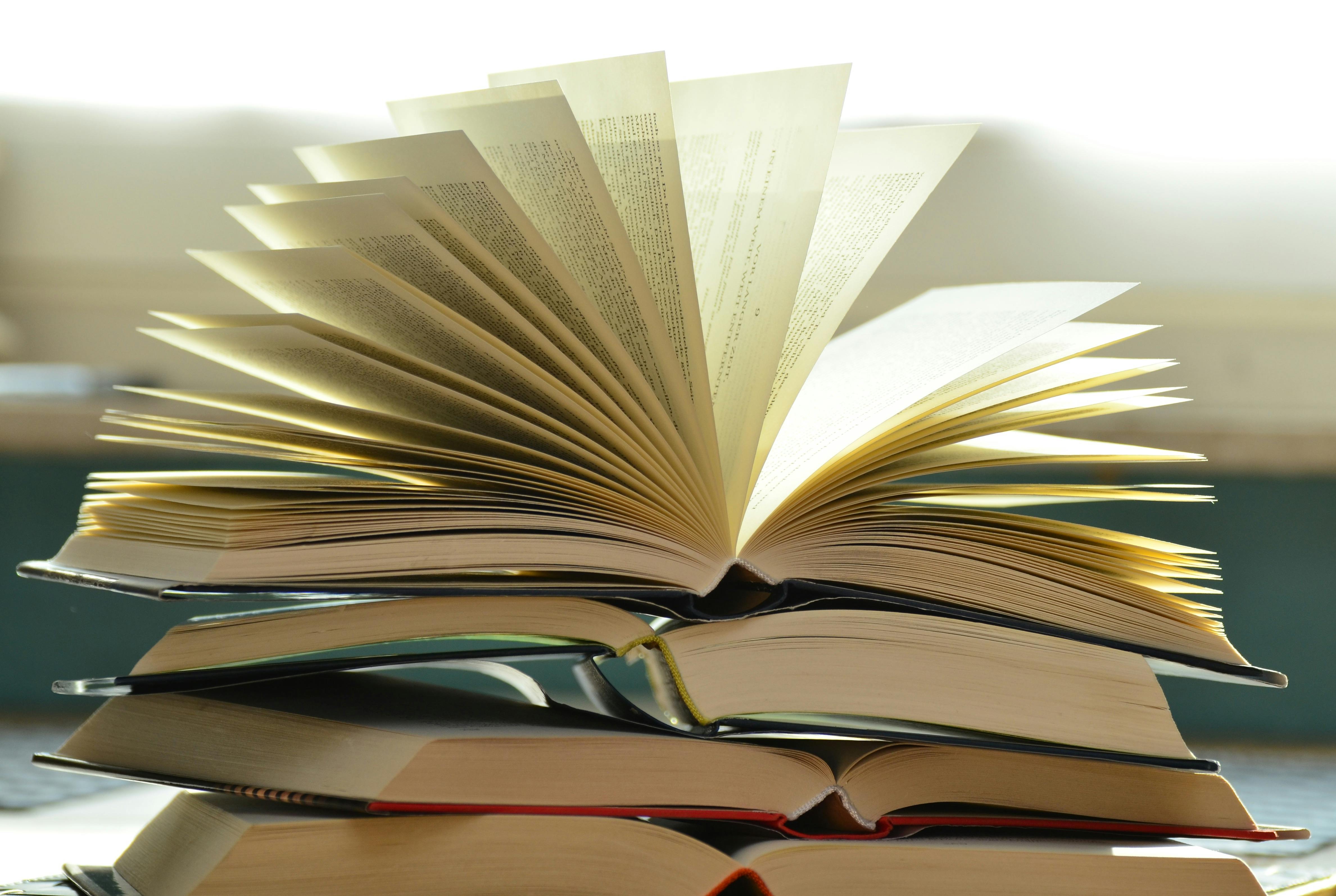 Educational and Career Opportunities After 12th